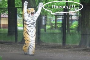 Картинки с надписями для настроения