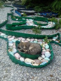Ландшафтный котодизайн.