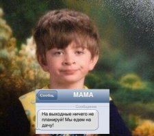 А счас не напрягает, штоле? Теплицы, грядки, постройка дома, стрижка травы, прополка, посадка, окучивание...