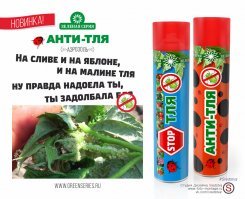 Гении дизайна и маркетинга, по которым плачет психушка