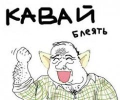 В Японии начали продавать кошачьи домики для людей