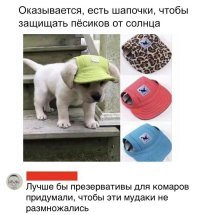поржал смачно токма на этой фоте....