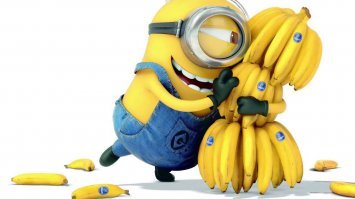 Колумбийские наркобароны спрятали 9 тонн кокаина в бананах