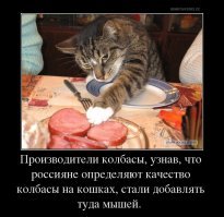 Утверждения, с которыми сложно поспорить (23 фото)