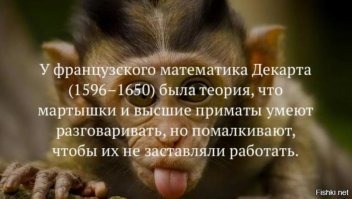 Милые создания, которые оказались злыми гениями