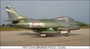 Не похож самолетик на North American F-86 Sabre, там была труба типа нашего МиГ-15, это скорее G-91, стоял на вооружении Германии и Италии, как раз эмблема итальянская.