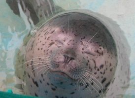 очень, очень важная и актуальная информация......