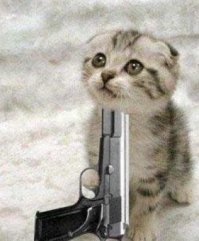 как я буду жить с этой информацией дальше ?????