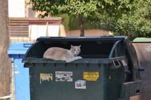 Сфоткал на Кипре :)