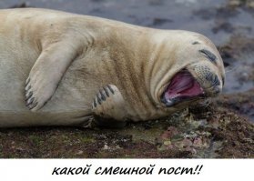 Очень быстрое такси