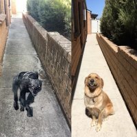 Чудотворная мойка высокого давления: 19 фотографий до и после очистки