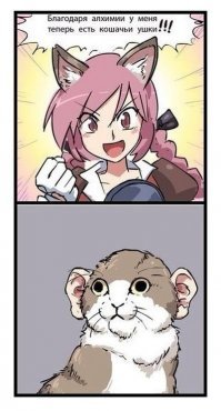 «Мы не знали о том, что нас ждёт!» Они случайно принесли домой дочь сфинкса и домашней кошки