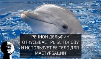 Милые создания, которые оказались злыми гениями