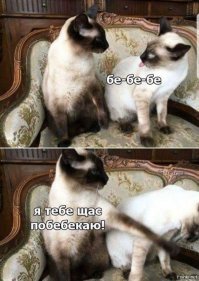 Человек труда