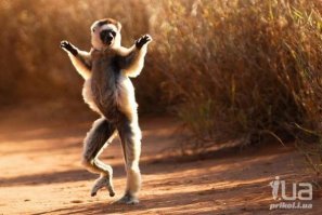 Человек труда