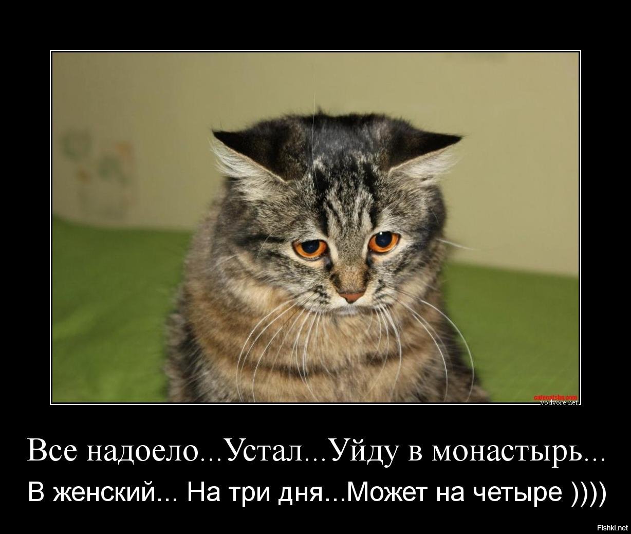 И скучно и грустно какой год. Что же с нами стало. Что с нами стало. Кот Мем. Что же с нами стало Мем.