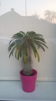 ХОЧУ- красиво.