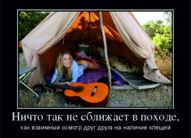 10 важных весенних фактов про клещей