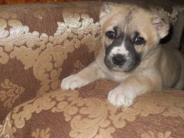 моя маленькая была такая хорошенькая, а сейчас здоровенная кобыла)))