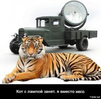 Вероятность отцовства равна 0