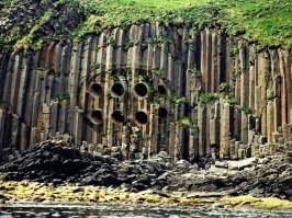 Что-то нихрена это на окаменевший лес не тянет. А на заиленный коллектор - вполне...