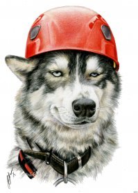 Подарочек от соседей, или привет от строителей 80-х