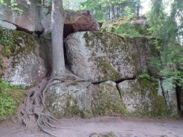 Монрепо .Выборг.