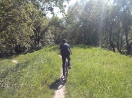 Машинисты не коментят. Сейчас, когда ветер спал и растаял снег, можно до осени с работы пешком возвращаться. Или в магазин, что за 3 остановки,  тоже ходить пешком. Можно. А можно и не ходить. В прошлом году выпало 3 мес отпуска. Вот я накрутил педалей... Лет 12 не ездил так на велике. Это было настолько здорово, что возвращение к серой трудовой жизни вгоняло в депрессию.