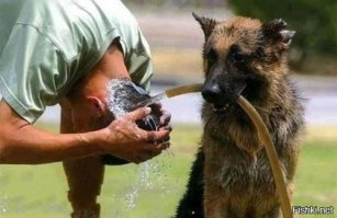 20 дачных бассейнов и летних душей своими руками