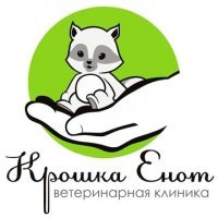 Енот Яша "работает" в ветклинике, успокаивая собак перед приемом