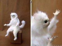 Джоан Роулинг извинилась за смерть Добби