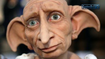 Джоан Роулинг извинилась за смерть Добби