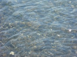 По причине аэрофобии у всей в принципе семьи вынуждены (правильно ли сказала? Просто отдыхаем много лет у нас в Краснодарском крае). Вот что я вам скажу. Когда ты едешь в первый раз - дорого, впихивают все что надо и не надо, ты как слепой телок получаешь дорогущий отдых.
Мы с 8 года отдыхаем в Лазаревском. Я за эти годы подружилась с хозяйкой гостиницы на самом берегу (двухместный номер со всеми удобствами с балконом на море 2000 в июле, 1800 в сентябре), питание дешевле некуда в рядом расположенной столовой - домашняя кухня, вкусняшка, вечером - плов, шашлык, коньячок. Важно то, что мы идем гулять в парки, едем в горы, на аттракционы - мы у СЕБЯ в стране, мы чувствуем себя как хозяева, а не как гости. И последнее. Чистота моря. Вот вам фото - Рыбацкий поселок Лазаревского в 14 году, я снимала для тех, кто любит петь про "помойку"