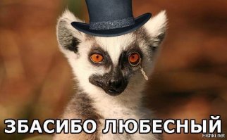 Знакомьтесь, Юми и Фанни – новые обитатели Фишек