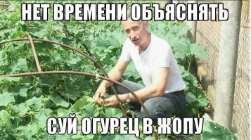 Самозанятых могут заставить платить за медстраховку