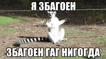 Знакомьтесь, Юми и Фанни – новые обитатели Фишек