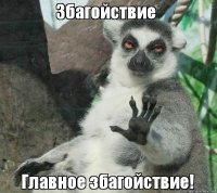 Знакомьтесь, Юми и Фанни – новые обитатели Фишек