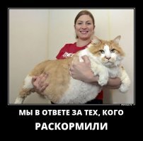 У особо заботливой девочки хомяк размером со слона.