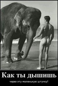 Да еще с одной ноздрей