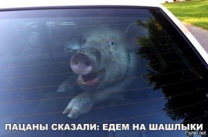 Неожиданные итоги первой волны майских праздников
