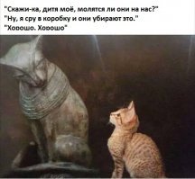 Этого зверя боялись все в нашей деревне
