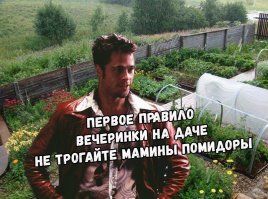 Первое правило вечеринки на даче - это чтобы дача не твоя была...