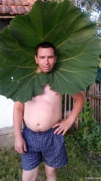 Ништяк, жопу вытер и  тут же тебе и  бейсболка и зонтик  готовы