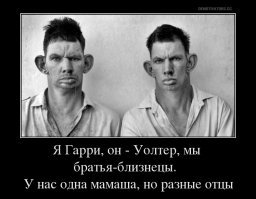 Загадки природы: три идентичные близняшки прошли тест на ДНК, и оказалось, что у них разные корни