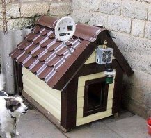 Перевожу, что он говорит: Один раз выхожу утром из замка, а замок-то порушен. Ночью, пока я спал, какая-то сука взяла истоптала и разрушила мой дворец. Пришлось всё восстанавливать по новой.
 Это конечно шутка. Везёт же людям, круглый год лето. Спи хоть на скамейке, или на дереве, но всё же лучше в собственном домике.