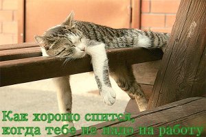 Перевожу, что он говорит: Один раз выхожу утром из замка, а замок-то порушен. Ночью, пока я спал, какая-то сука взяла истоптала и разрушила мой дворец. Пришлось всё восстанавливать по новой.
 Это конечно шутка. Везёт же людям, круглый год лето. Спи хоть на скамейке, или на дереве, но всё же лучше в собственном домике.
