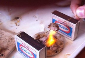 Мангальские страсти, или вариации на тему - на чем пожарить мяска