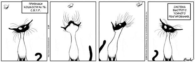 Наш ответ хвостатым