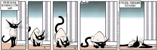 Переводные комиксы 'признаки кошкости'. Американский график Брук МакЭлдони, рисовал их для газеты 20 лет назад. Картинки гуглятся. 
Некоторые комиксы ниже.