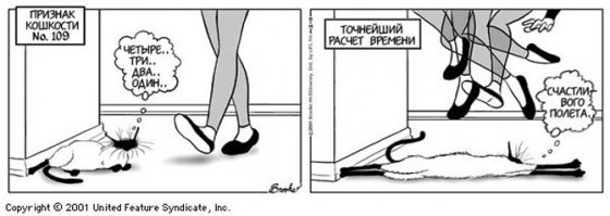 Наш ответ хвостатым